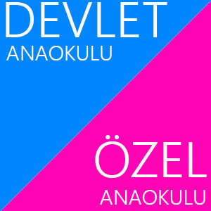 Anaokulu: Özel? Devlet?