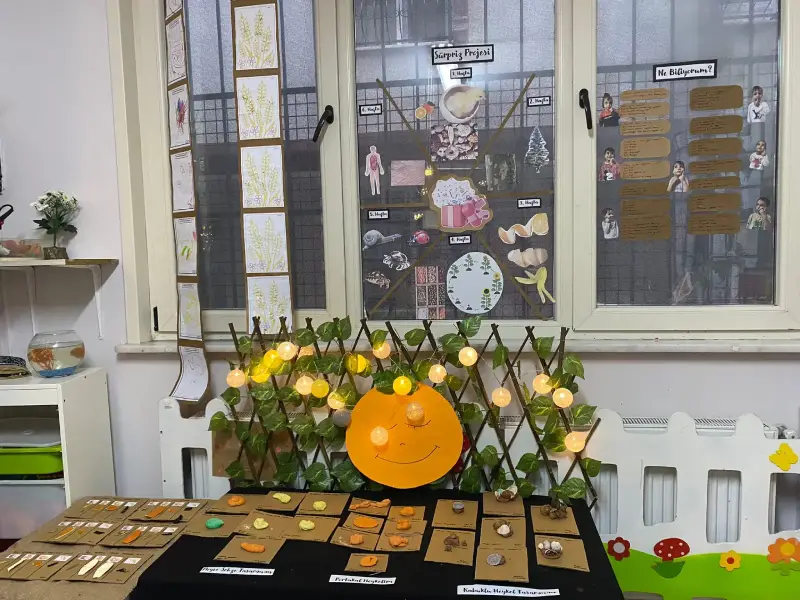 Kapalı ve Açık Oyun Alanları